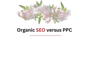 Organic SEO or PPC: which strategy should I use for online marketing?