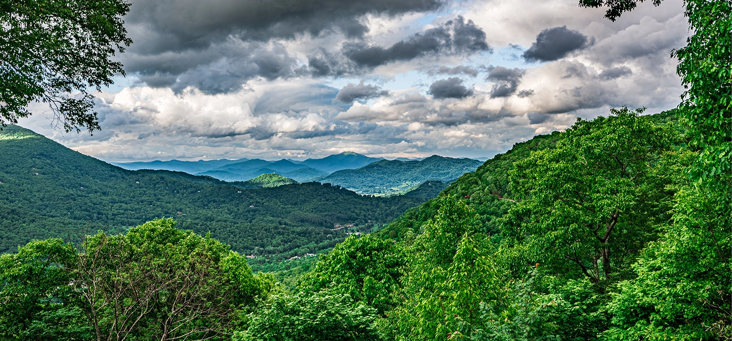 Finding Balance: Stone Reuning’s Tai Chi Journey in Waynesville