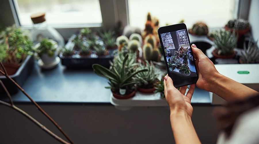 Keeping Your Google Business Profile Fresh: Posts, Photos & Updates That Work