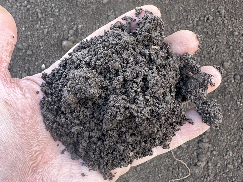 Garden compost